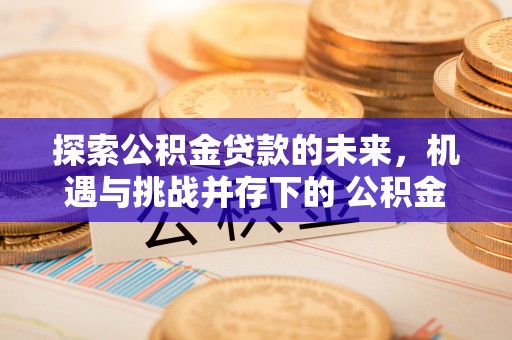 开封探索公积金贷款的未来，机遇与挑战并存下的 公积金贷款风险防控