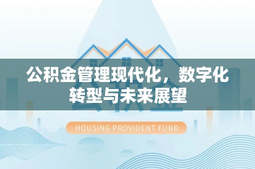 开封公积金管理现代化，数字化转型与未来展望
