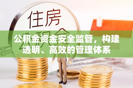 开封公积金资金安全监管，构建透明、高效的管理体系