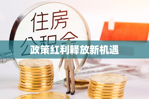 开封政策红利释放新机遇