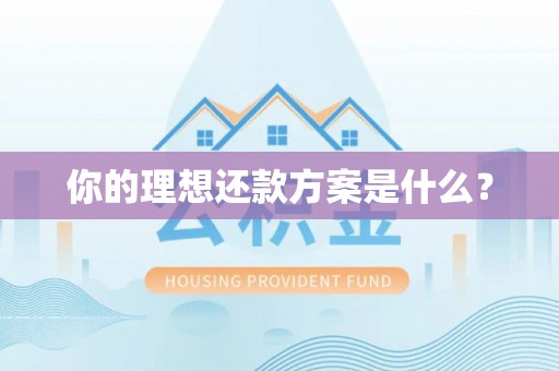 开封你的理想还款方案是什么？