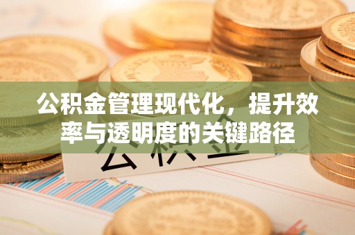 开封公积金管理现代化，提升效率与透明度的关键路径