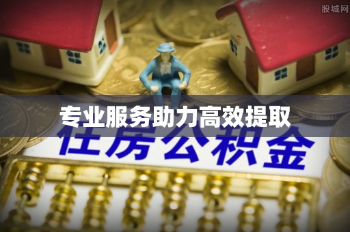 开封专业服务助力高效提取